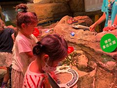 -沈阳海洋探索中心