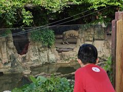 -长鹿旅游休博园
