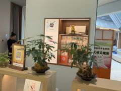 -长风拨筋养身(金虹桥店)