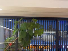 -李清佛跳墙|福建省十大名厨之首(后江埭店)