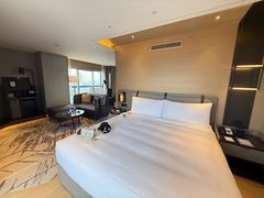 -新加坡瑞士史丹福酒店