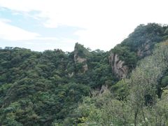 -大岭沟猕猴桃谷风景区