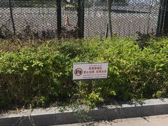 -霍尔果斯国门景区