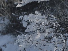 -东白山