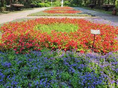 -黑龙江省森林植物园