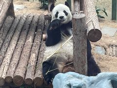 -大连森林动物园