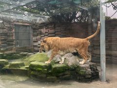 -宁波野生动物园