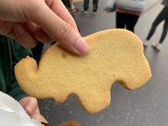 大象黄油饼干-大象咖啡馆
