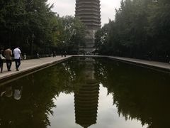 -玲珑塔公园