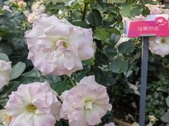 -人民公园(罗湖区)