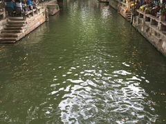 -同里国家湿地公园