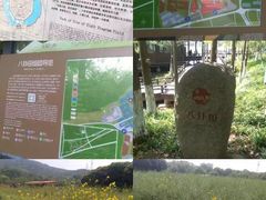 -八卦田遗址公园