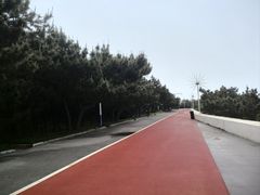 -日照海滨国家森林公园