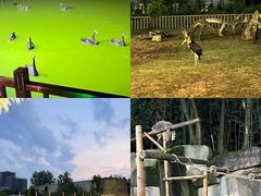 -杭州野生动物世界