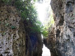 -鹅銮鼻公园