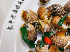 白灼田螺-长平老姿娘夜粥(平东一街店)