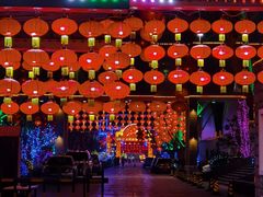 -南宫五洲植物乐园