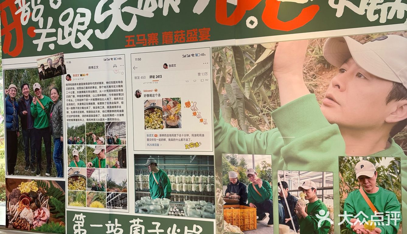 韶关周末去哪玩｜赏樱花🌸采菌子🍄