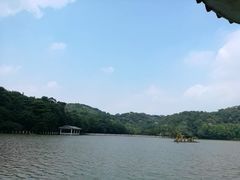 -西樵山风景名胜区-天湖公园
