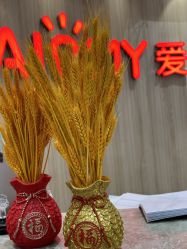 -爱儿美儿童摄影(奥森公园店)