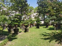 -狼山风景名胜区