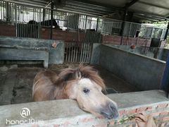 -迪茵湖田家舍生态农场