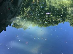 -普陀山风景名胜区-法雨禅寺