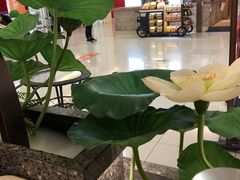 -新辣道鱼火锅(上地华联店)