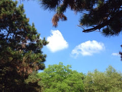 iphone_upload_pic-高尔山公园