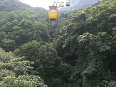 -大鹿岛