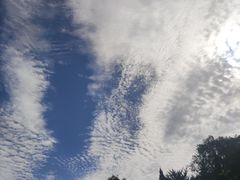 -北坞公园