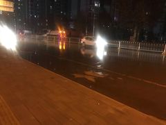 -谢氏老金口(江夏武昌大道店)