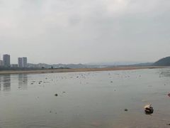 -马口生态公园
