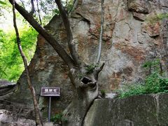 -老君洞旅游度假区