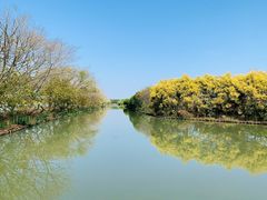 -大湾区中央湿地公园