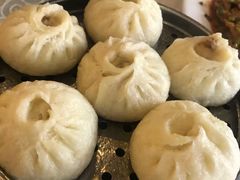 -韩包子(青石桥店)