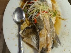 -百年银屏蚝烙·潮汕菜·非遗(乐山店)