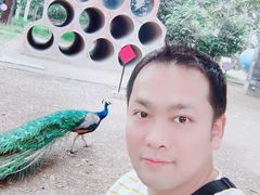 -北京麋鹿生态实验中心