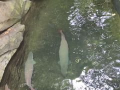 -青青世界