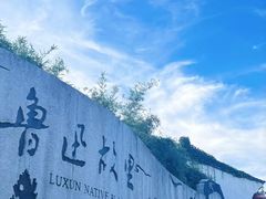 -绍兴鲁迅故里·沈园景区