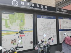 -锅儿挑面馆