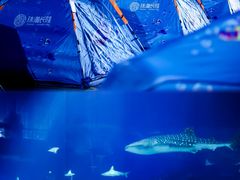 -珠海长隆海洋王国