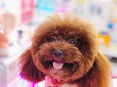 -小象猛犸(炫地购物中心店)