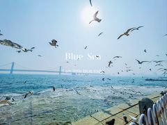 -星海广场