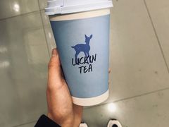 -吉林大学前卫校区南区-日新楼