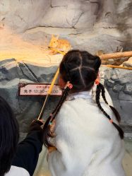 -Zoolung Zoolung动物主题公园(海信广场店)