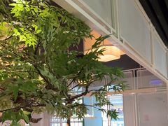 -绿茶餐厅(广州天河城店)
