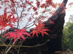 -郭庄景区