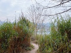 -金海湾滨江公园