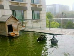 -行者书屋大堂吧 ·下午茶(南京圣和府邸酒店)